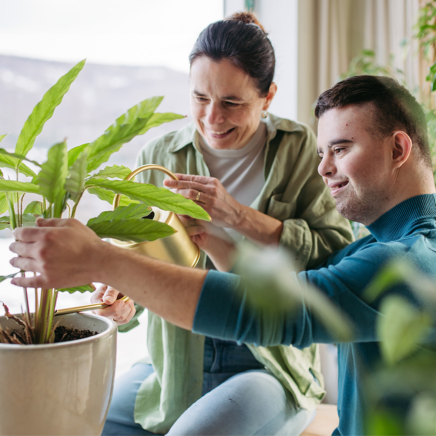 Die Intensiven Sozialpädagogischen Einzelbetreuung